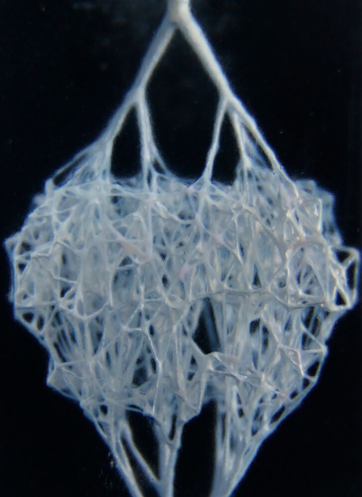 A network of capillaries 3D-printed using a newly developed technique.