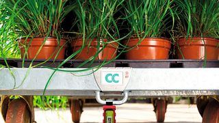 Bild 1: 4 Mio. Container wurden bei Container Centralen zum Schutz vor gefälschten Containern in den Lieferketten mit RFID-Schlössern versehen.  (Bild: Container Centralen)