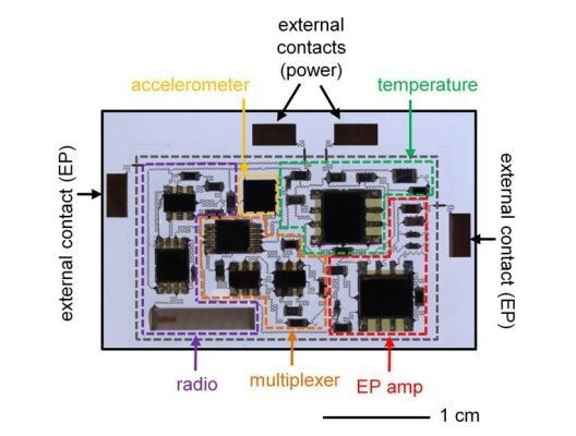 Der elektronische Aufbau des Sensor-Pflasters. (John Rogers)