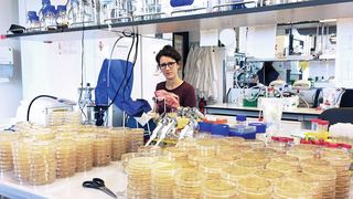 Dr. Tanita Wein hat die Resistenzbildung und -vererbung in Bakterien untersucht. (Bild: Institut für Allgemeine Mikrobiologie, CAU)