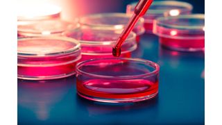 The finding opens the door for ACT to treat harder-to-reach cancer types and makes it a more viable option for hospitals. (Source: luchschenF - stock.adobe.com)