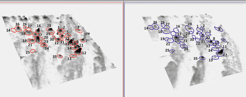 Figure 5: Three-dimensional densitograms of the areas marked in Fig. 4. Left: fresh Sartorius Arium pro VF water; right: “flask water“ (Decodon)