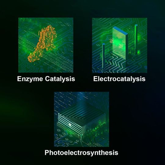 The three forms of catalysis described in the new study: Enzyme Catalysis, Electrocatalysis and Photoelectrosynthesis. The three forms of catalysis described in the new study: Enzyme Catalysis, Electrocatalysis and Photoelectrosynthesis.