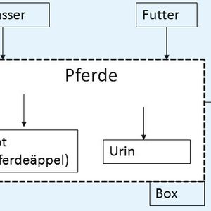 Abb. 2: Systemgrenzen für die Bilanzierung von Pferdemist