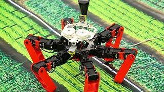 Den Bionic Award 2020 erhielt Julien Dupeyroux von der Universität Aix-Marseille für seine  Forschungsarbeit zu einem autonom navigierenden Roboter. (Bild: Julien Dupeyroux, Universität Aix-Marseille)