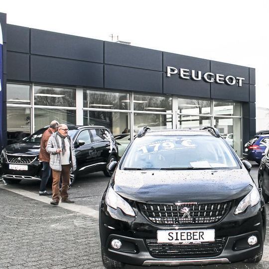 Seit Anfang Oktober glänzt in Landshut wieder eine Peugeot-Signalisation.(Bild:  Katja Mayer-Hohmuth)
