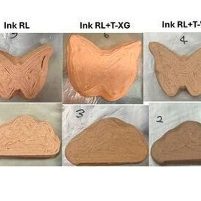 Printed Rice-Lentil 3D structures
 (Source: SUTD)
