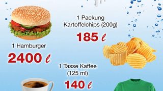 Hinter Produkten des täglichen Bedarfs verstecken sich ungeahnte Wassermassen. Für die Produktion einer Tüte Chips liegt der Wasserbrauch laut WWF z.B. bei 185 Liter.  (Bild: WWF)