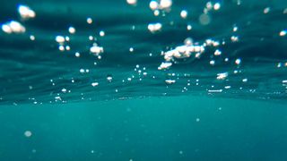 Die Bewahrung der Ozeane und die achtsame Nutzung ihrer Ressourcen ist eines der 17 Ziele der UN für nachhaltige Entwicklung. Zu deren Umsetzung können moderne Technologien einen entscheidenden Beitrag leisten.  (Bild: gemeinfrei)