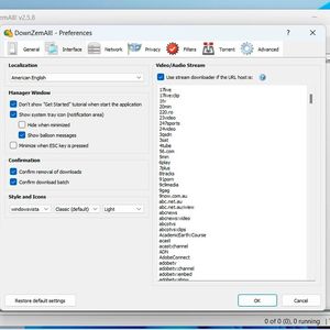 Anpassen der umfangreichen Einstellungen von DownZemAll.(Bild:  Joos (Screenshot))