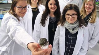 Das Team von der Universität Bonn untersuchte die Auswirkungen von Salz auf das Immunsystem: (v.l.) Dr. Katarzyna Jobin, Natascha Ellen Stumpf, Melanie Eichler, Prof. Dr. Christian Kurts, Olena Babyak und Mirjam Meissner. (Max Germer)