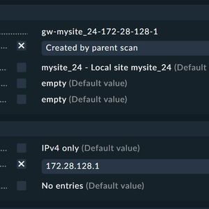 Abbildung 4: Automatisch angelegter Parent-Host mit sehr dubioser IP-Adresse.(Bild:  Lang | Checkmk)