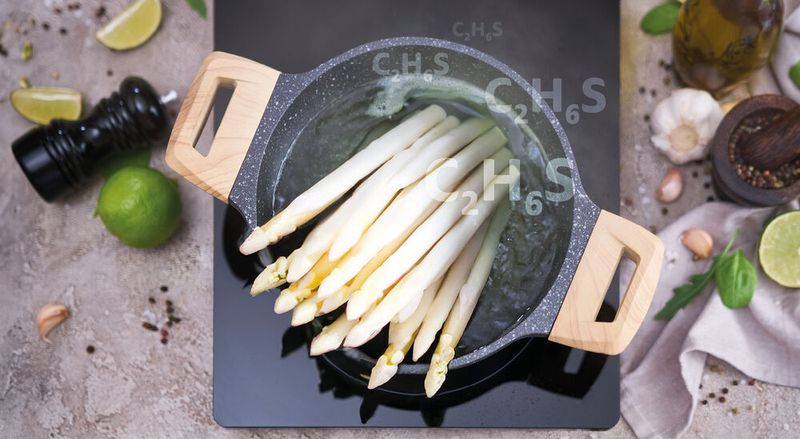 Abb. 1: Ein typisches Merkmal von Spargel ist sein einzigartiges  Aroma. Forschende haben nun ein Geschmacksprofil von rohem und gekochtem weißen Spargel erstellt. (Bild:  © Anatoly Repin - stock.adobe.com)