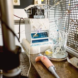 Die Arbeiten in den Bochumer Laboren könnten helfen, optogenetische Werkzeuge künftig zielgerichtet herzustellen.