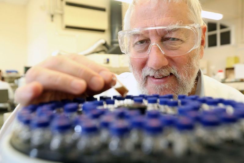 Professor Graham Hutchings  (University of Cardiff)