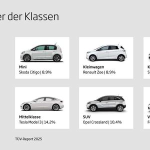 Die Verlierer ihrer Klassen: Skoda Citigo, Renault Zoe, Skoda Scala, Tesla Model 3, Opel Crossland und Ford S-Max(Bild:  TÜV-Verband)