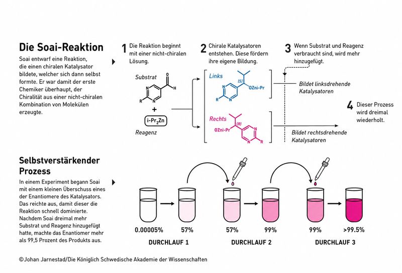 Mit der Soai-Reaktion zur fast perfekten Homochiralität. Durch einen selbstverstärkenden Prozess reichert sich eine der beiden Enantiomer-Varianten im Gemisch mit jedem Reaktionsdurchlauf stärker an. (Bild: )