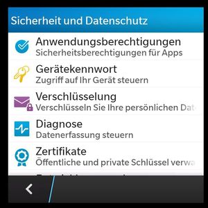 Die Sicherheitsfunktionen von BlackBerry im Überblick.