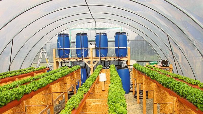 Bild 1: Hypo Wave – Einsatz hydroponischer Systeme zur ressourcen­effizienten landwirtschaftlichen Wasserwiederverwendung. (Wave)