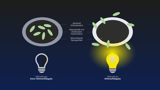 Das System der lichtgesteuerten Wirkstoffabgabe besteht aus Siliziumdioxid-Nanopartikeln, die z.B. mit einem Medikament zur Wunddesinfektion aufgeladen und von einer speziellen Polymerhülle ummantelt sind. Wird diese mit Licht bestrahlt, verändert sie ihre Struktur und wird wasserdurchlässig. Der Wirkstoff kann austreten und die Wunde desinfizieren. Wird das Licht abgeschaltet, verschließt sich die Hülle wieder.(Bild:  Empa)