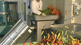 Lückenlose Dokumentation der Inhaltsstoffe ist in der Pharmaindustrie Pflicht. Im Bild Rohstoffanlieferung bei Pascoe, einem Hersteller pharmazeutischer Arzneimittel auf pflanzlicher Basis.  (Bild: Cormeta)