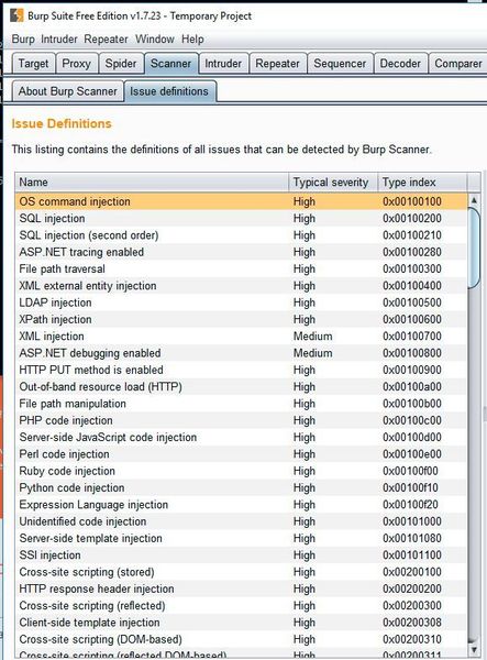 Ein Teil der Übersicht zu den Problemen, die mit der Burp Suite entdeckt werden können. (Dombach)
