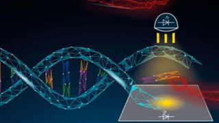 Forscher wollen die Grundlagen für biologische Massendatenspeicher legen. (Bild: Fraunhofer FEP)