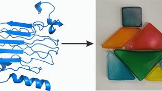 Neue protein-basierte Biokunststoffe sollen gleichzeitig fest und elastisch sowie biologisch abbaubar sein. (Wiley-VCH)