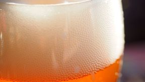 Japanese researchers have developed a naturally bred yeast that produces nine times more ornithine while retaining normal brewing performance, opening a route to craft beer with added fermentation value. (Source: free licensed)