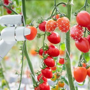 Bürstenloser Motor in der Agrarrobotik(Bild:  iStock-1130498724_Tomatenstrauch)