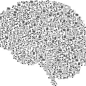 The study of the specific musical anhedonia determined that individual differences regarding musical rewards were related to the functional connectivity (different patterns of neuronal activation in different brain regions) in the auditory cortex.