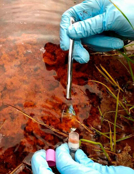 Donato Giovannelli collecting microbial samples in a hot spring in Costa Rica. (University of New Mexico)