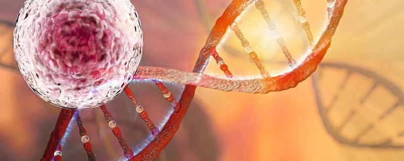Für die Einzelzellanalyse ist eine aufwändige Vorbereitung von Bibliotheken für die DNA- oder RNA-Sequenzierung nötig – hier ist Automatisierung gefragt (Symbolbild).(Bild:  catalin - stock.adobe.com)