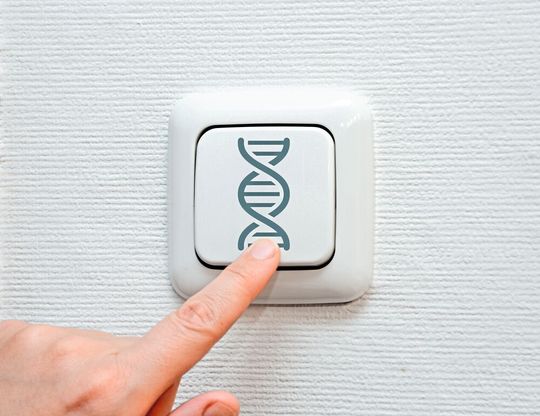 Mittels elektrischer Schaltung Gene aktivieren? ETH-Forschenden ist dieser Schritt gelungen. Mittels elektrischer Schaltung Gene aktivieren? ETH-Forschenden ist dieser Schritt gelungen.