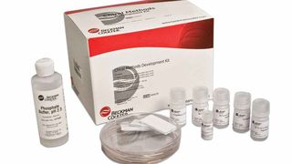 Die Kits von Beckman Coulter vereinfachen die Kapillarelektrophorese-Methodenentwicklung und Qualitätskontrolle.  (Bild: Beckman Coulter)