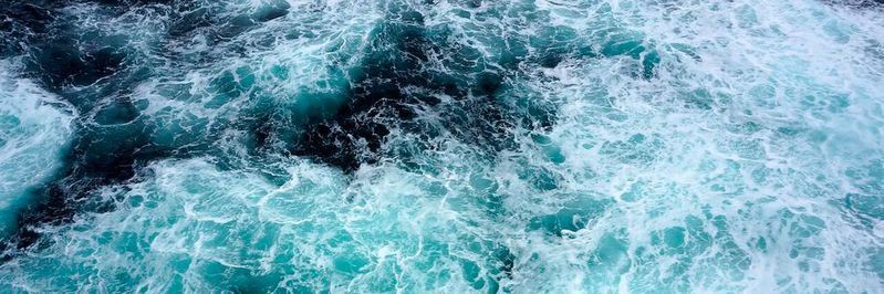 Ein neu entdecktes Enzym aus der Tiefsee baut den Kunststoff PET ab. (Symbolbild)(Bild:  frei lizenziert /  Pixabay)