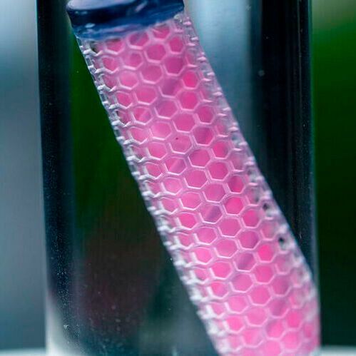 A prototype of the drug-producing implant, which is smaller than an adult’s finger. A prototype of the drug-producing implant, which is smaller than an adult’s finger.