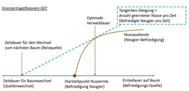 neugier befriedigen Die 4 Persönlichkeitstypen der Neugier — Ingrid Gerstbach main image 1