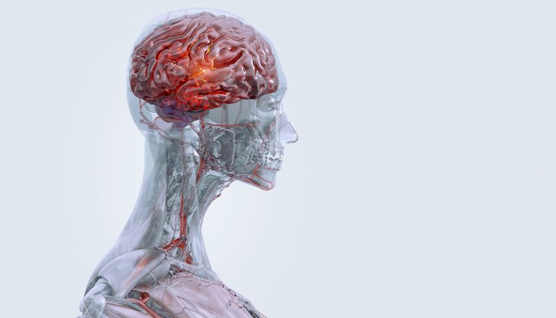 2 neue Medikamente für neurologische Krankheiten (ohne Krebs und Autoimmunkrankheiten) (Bild: Corona Borealis - stock.adobe.com)