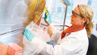 Die Mehrheit der Unternehmerinnen und Unternehmer in der Biotechnologiebranche beurteilen ihre aktuelle Geschäftslage als gut, rund 50 % erwarten für dieses Jahr eine Verbesserung.  (Bayer AG)