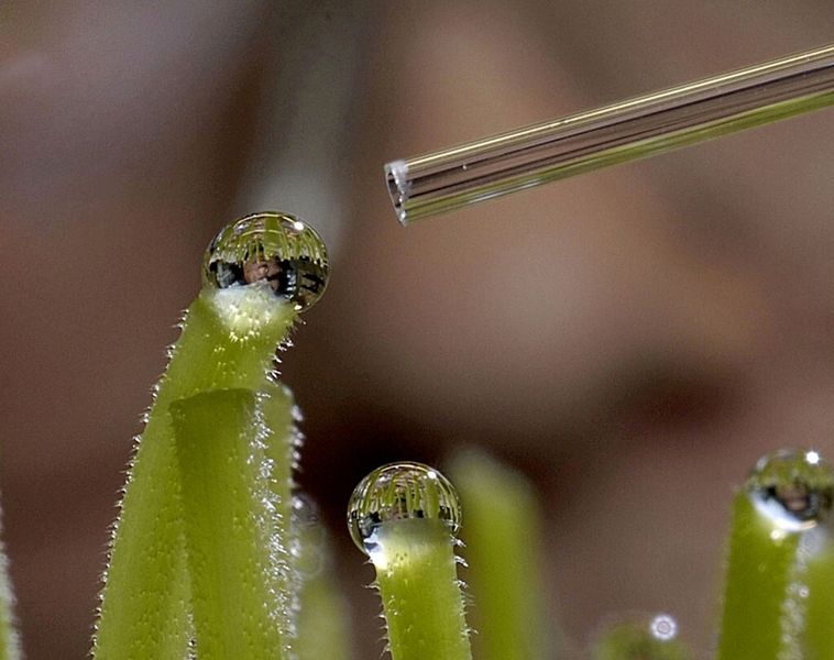 ... green technologies... (Picture: BASF)