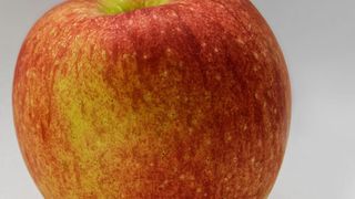 Wissenschaftler der Technischen Universität München (TUM) und des Leibniz-Instituts für Lebensmittel-Systembiologie haben eine neue Methodik zur simultanen Analyse von Geruchs- und Geschmacksstoffen entwickelt. Die Forscher testeten sie an Apfelsaft. (Ausschnitt) (Andreas Dunkel / Leibniz-Institut LSB / TUM)