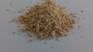 Das in der Ethana-Pilotanlage gewonnene Rapskernkonzentrat enthält über 40 Prozent hochwertige Proteine. (Bild: Fraunhofer CBP)