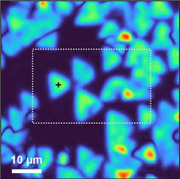 SFG microscopy image of boron nitride monolayer flakes.  (Source: FHI)