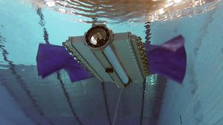 Testversuch an der ETH Zürich: Sepios treibt sich durch den Pool. (Bild: Kubo)
