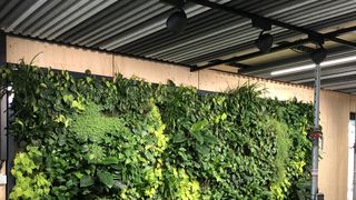 bruninghoff-vertikale-innenraumbegrunung (Quelle: Brüninghoff)