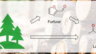 Afb. 1: Hout als grondstofbron voor levulinezuur (Afbeelding:©Milan - stock.adobe.com; LIKAT)