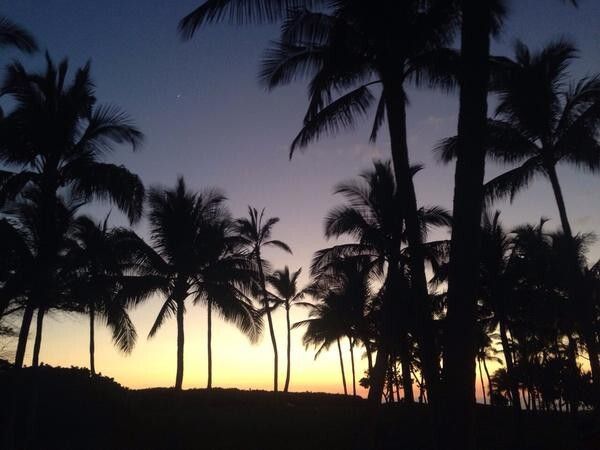 Flug 8 Nagoya - Kalaeloa, Hawaii (USA): Impressionen (Bild: Solar Imoulse)