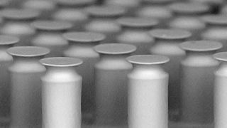 Blick auf die am INM hergestellten Mikrostrukturen, die dünner als ein Haar sind. Appliziert man diese auf Greifern, so führen sie zum selben Hafteffekt wie die Zehenhärchen (Setae) von Geckos. (INM)