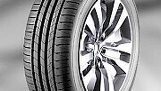 Der Summer UHP ist einer von sechs neuen Sommerreifen von Pneumant. (Foto: Reiff)